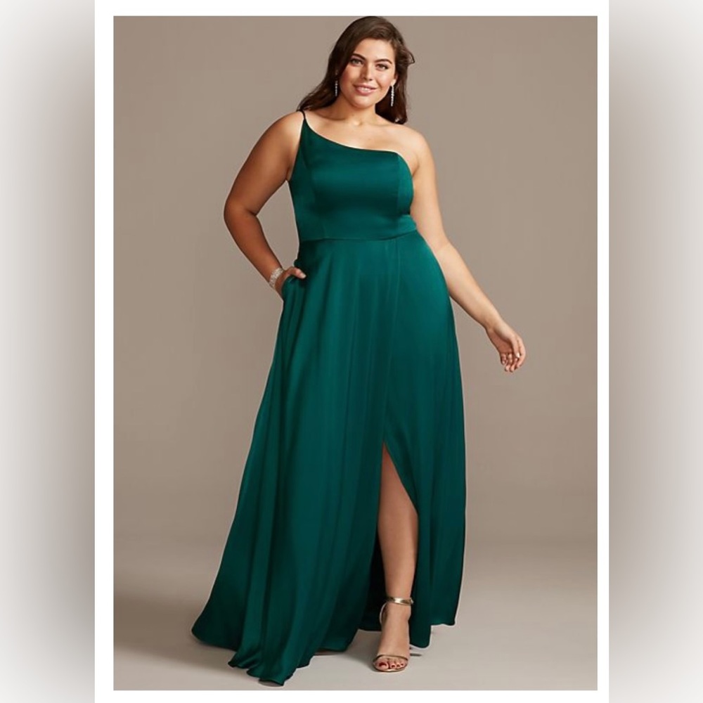 David’s Bridal Plus Size Bridesmaid Dress